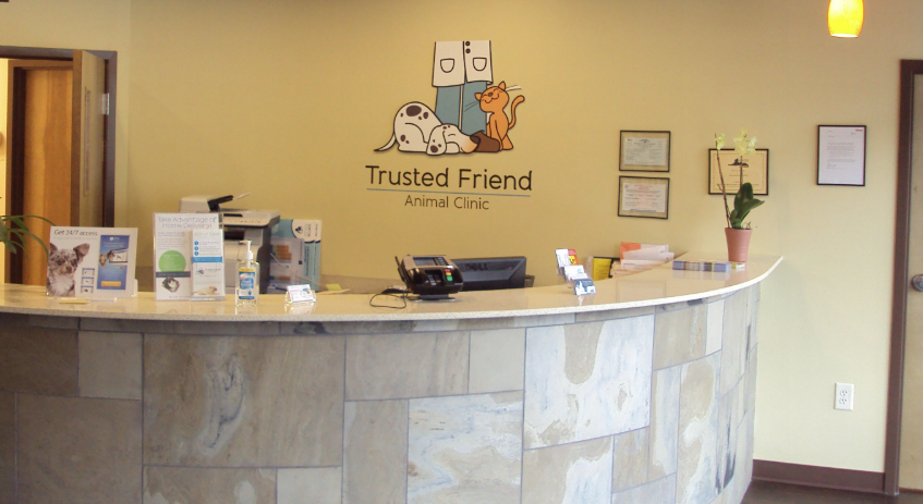 Veterinary clinic front desk and reception area